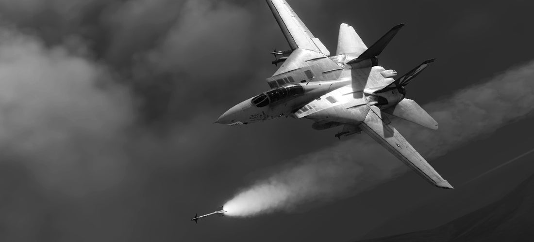 DCS: F-14 Development Update - AIM-54 Phoenix Improvements