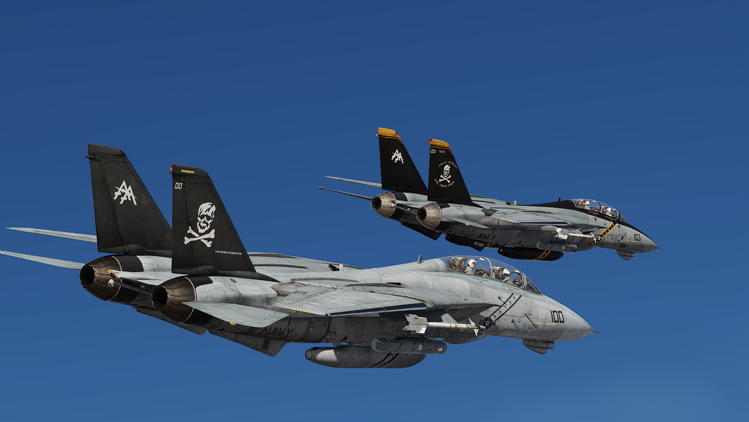 DCS: F-14B(U)