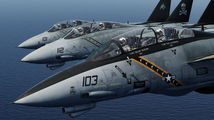 DCS: F-14B(U)
