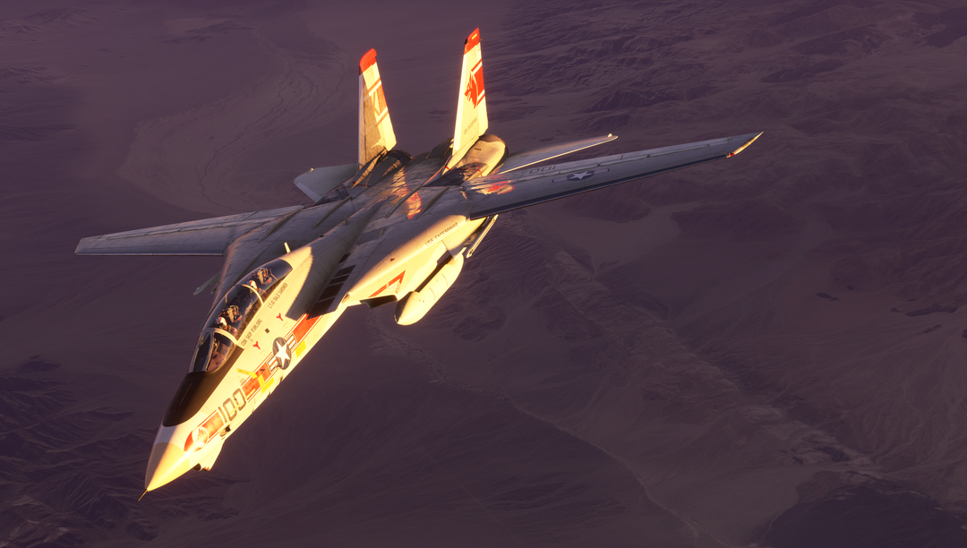 MSFS: F-14 Tomcat