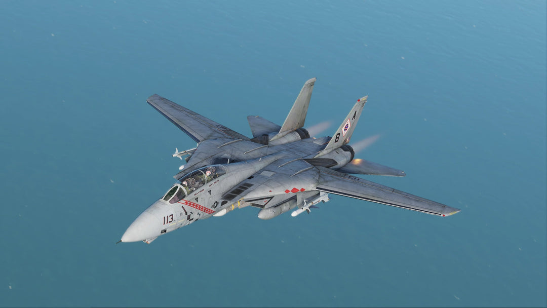 DCS: F-14 Tomcat